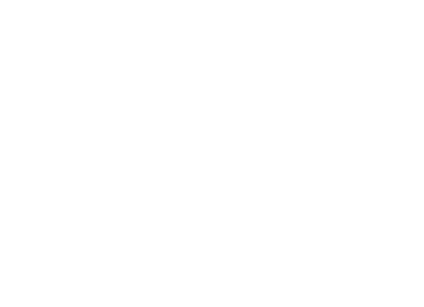 Christian Aurich Logo